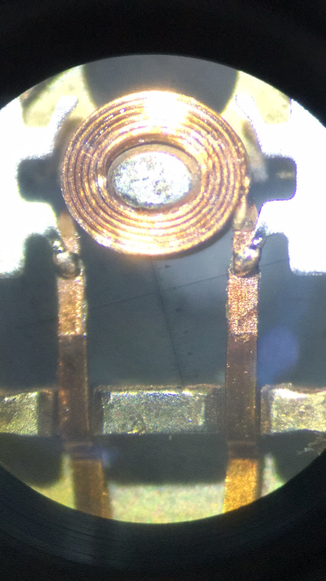 27ba5ad828fdcf42-photo.JPG